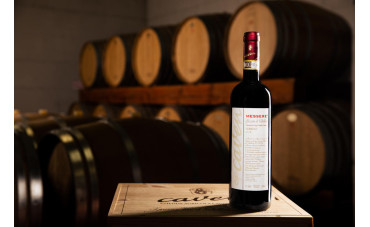 Sforzato Messere ‘17 premiato con due bicchieri della Guida Del Gambero Rosso 2023 Sforzato Messere ‘17 premiato con due bicchieri della Guida Del Gambero Rosso 2023